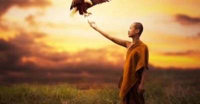 Câu chuyện cuối tuần: Tất cả đều là sự an bài tốt nhất