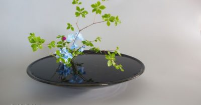 Ikebana: Nghệ thuật cắm hoa Nhật Bản giúp bạn thư giãn tâm hồn