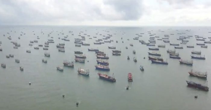 doi tau ca trung quoc