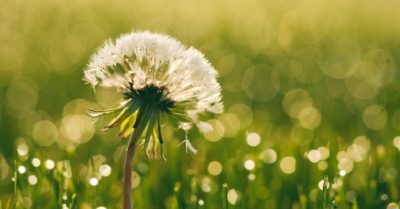 Tôi đã được cảnh sát ưu ái nhờ thái độ tôn trọng anh ấy